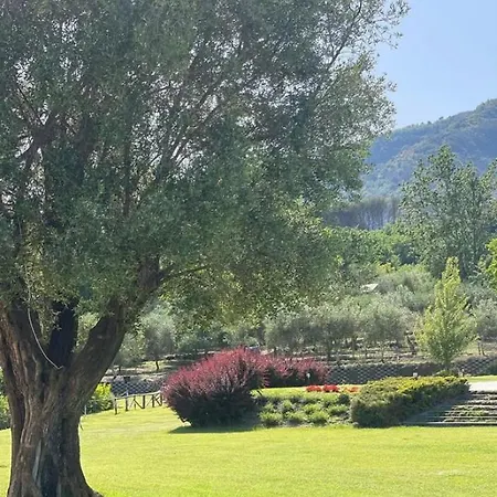 Tenuta Il Castagno *